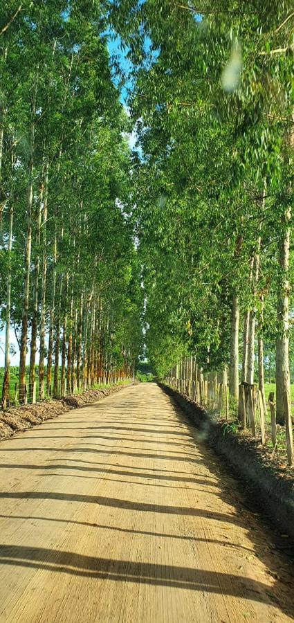Casa Verde Caraiva Ngoại thất bức ảnh